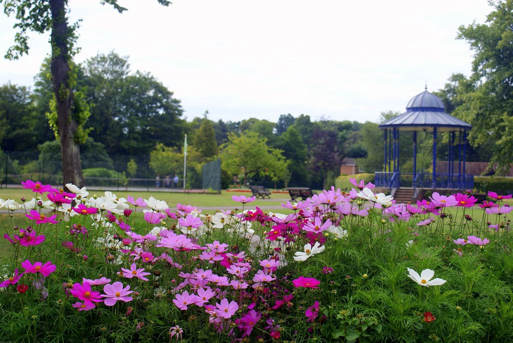 A blue bandstand in a public park behind a bed of pink and white flowers